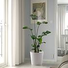 IKEA SOJABÖNA Kruka 32 cm