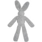 Companion Plush Rabbit med knastrande ljud