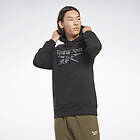 Reebok Identity Big Logo Hoodie (Herr)