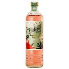 Soda Belvoir Botanical Floral Fizz med Fläder & Hibiscus 500ml