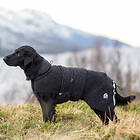 Canelana Ambassadör Ulltäcke Hund 2XL (73 cm)