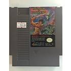 Wizards & Warriors (NES)