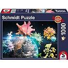 Schmidt Planet Earth 2020 1000 bitar