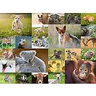 Ravensburger Baby Animals 200 bitar