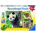 Ravensburger Panda, Lion and Tiger Cubs (3 x 49)