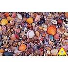 Piatnik Seashell 1000 bitar