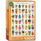 Eurographics Cacti and Succulents 1000 bitar