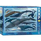 Eurographics Whales & Dolphins 1000 bitar