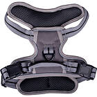 Companion No-pull hundsele