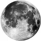 Puzzlocado Träpussel - The Moon 300 bitar
