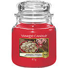 Yankee Candle Classic Medium Peppermint Pinwheels