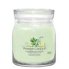 Yankee Candle Signature Medium Jar Cucumber Mint Cooler