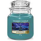 Yankee Candle Winter Night Stars Medium