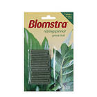 Blomstra Näringspinnar gröna 30 st