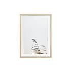 AmandaB Tavla Deco Grass 1 50X70 Cm Vit|Brun