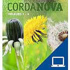 CordaNova delkurs 1-4, lärarwebb, individlicens 12 mån (OBS! Endast för lärare)