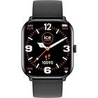 ICE Watch 021409