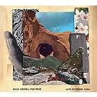 Dave Matthews Walk Around The Moon (USA-import) CD