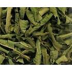 Crearome Citronverbena eko 100g