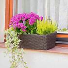 Patio Kruka rektangulär 49 x 16 14,5 cm wenge