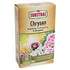 Substral Chrysan mjöl 1kg