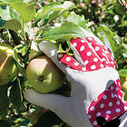 Nelson Garden Handske Betty, storlek 7 röd/vit