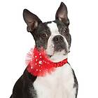 Aria Glam Starburst Scrunchy Hals prydnad med bling! Svart Small