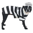 Casual Canine Prison Pooch Fångdräkt Hundkostym