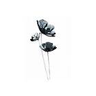 Black Flower Watercolour Painting Vit 50x70 cm V14