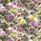Designers Guild Mariedal Peony Utomhustyg