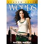Weeds - Season 7 (US) (DVD)