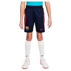 Nike Fc Barcelona Dri Fit Strike 22/23 Shorts Junior Blå 4-5 Years