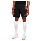 Nike Liverpool Fc Dri Fit Strike 22/23 Shorts Svart XL