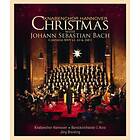 Knabenchor Hannover: Christmas With Johann Sebastian Bach (UK-import) BD