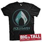 Aquaman Distressed Shield Big Tall T-Shirt (Herr)