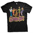 Team Scooby Doo Distressed T-Shirt (Herr)