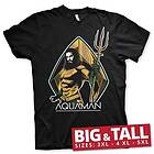 Aquaman Big & Tall T-Shirt (Herr)