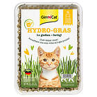 GimCat Hydro-Gras 150g