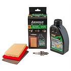 MTD Service kit ThorX engine