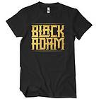 Black Adam Gold Logo T-Shirt (Herr)