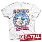 Sonic The Hedgehog Big & Tall T-Shirt (Herr)