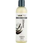 Shea Moisture EDEN BodyWorks Coconut Shampoo