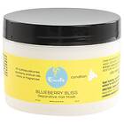 Curls Blueberry Bliss Reparative Hair Mask