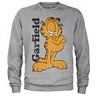 Garfield Sweatshirt (Herr)