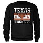 Texas Longhorns Flag Sweatshirt (Men's)