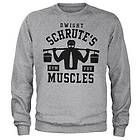 Dwight Schrute's Gym Sweatshirt (Herr)