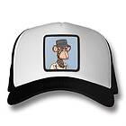 Ape 5057 Leeway Trucker Cap