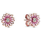 Pandora Pink Daisy Flower örhängen 288773C01