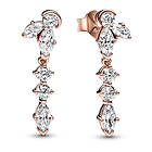 Pandora Timeless Sparkling Herbarium Cluster örhängen 282404C01