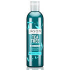Jason Natural Cosmetics Normalizing Tea Tree Treatment Conditioner 227g
